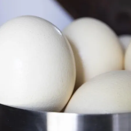 Former Rembrandt Workshop Two Bedroom *