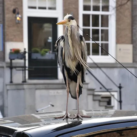 Former Rembrandt Workshop Two Bedroom * Amsterdam