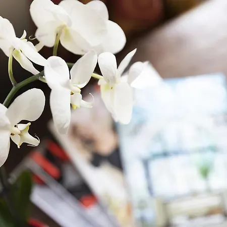 Former Rembrandt Workshop Two Bedroom Apartmán Amsterdam