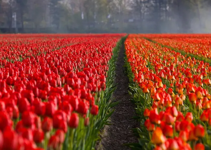 Former Rembrandt Workshop Two Bedroom *